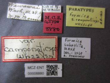 Media type: image;   Entomology 8880 Aspect: labels